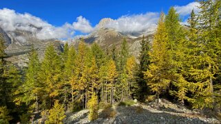 Riederalp - Belalp 2021