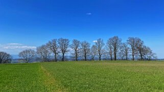 Schwarzwasser & Sense 2021