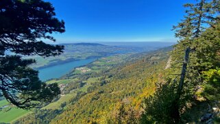 Le Vanil des Cours 2021