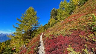 Zinal - Saint-Luc 2021