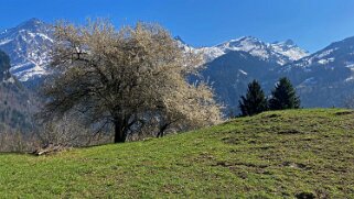 Plans-sur-Bex - Gryon - Bévieux 2022