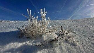Col du Marchairuz - Grand Cunay 2023