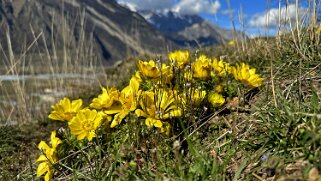 Charrat - Saxon 2024