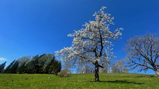 Tour de la Dent de Vaulion 2024
