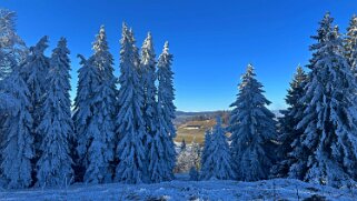 Haut du Mollendruz 2025