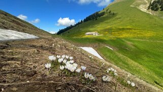 Les Paccots - Belle Chaux - Pralet 2025