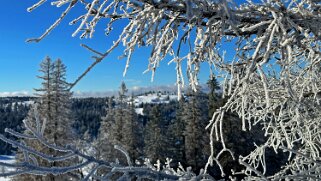 Col du Mollendruz - Croix de Châtel 2025