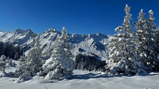 Morgins - Savolaire 2025