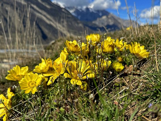 Charrat - Saxon 2024 Valais - Suisse