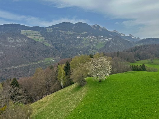 Ollon - Les Ecovets 2024 Vaud - Suisse