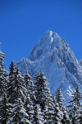 Aiguille du Chardonnet 3680 m Ski Chamonix 2015