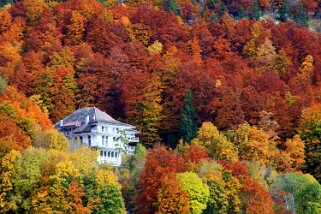 Couleurs automne
