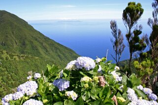 Caldeira do Santo Cristo - São Jorge Açores 2004