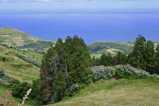 San Miguel Açores 2004