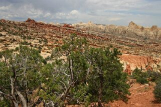 Capitol Reef National Park - Utah Etats-Unis 2005