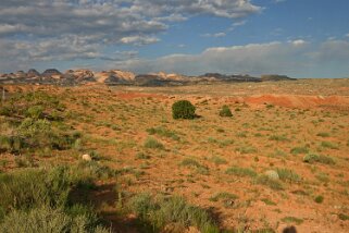 Capitol Reef National Park - Utah Etats-Unis 2005