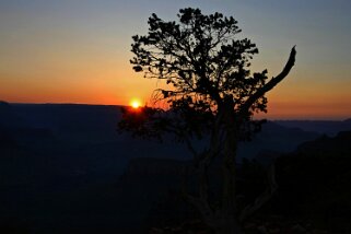 Grand Canyon - Arizona Etats-Unis 2005