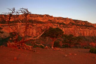 Grand Canyon - Arizona Etats-Unis 2005