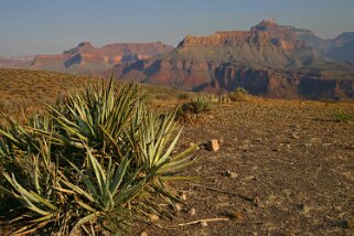 Grand Canyon - Arizona Etats-Unis 2005