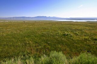 Mono Lake - Californie Etats-Unis 2005