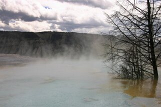 Canary Springs - Yellowstone National Park - Wyoming Etats-Unis 2005