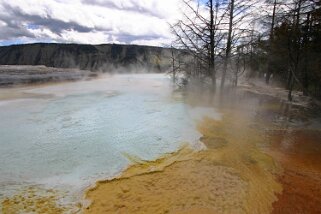 Canary Springs - Yellowstone National Park - Wyoming Etats-Unis 2005