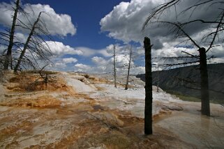 Canary Springs - Yellowstone National Park - Wyoming Etats-Unis 2005