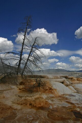 Canary Springs - Yellowstone National Park - Wyoming Etats-Unis 2005