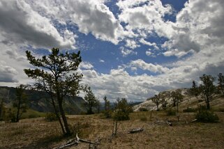 Canary Springs - Yellowstone National Park - Wyoming Etats-Unis 2005