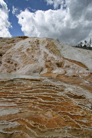 Canary Springs - Yellowstone National Park - Wyoming Etats-Unis 2005