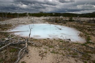 Norris Geyser Basin - Yellowstone National Park - Wyoming Etats-Unis 2005