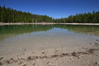 Yellowstone National Park - Wyoming Etats-Unis 2005