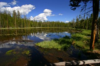 Yellowstone National Park - Wyoming Etats-Unis 2005