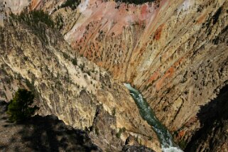 Yellowstone River - Yellowstone National Park - Wyoming Etats-Unis 2005