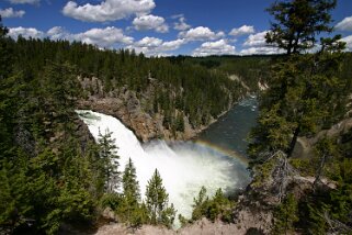 Yellowstone River - Yellowstone National Park - Wyoming Etats-Unis 2005