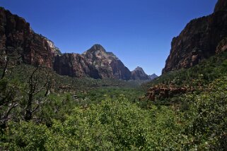 Zion National Park - Utah Etats-Unis 2005