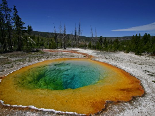Yellowstone National Park Wyoming - Etats-Unis