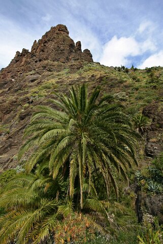 Barranco de Masca - Tenerife Canaries 2006