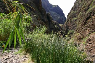 Barranco de Masca - Tenerife Canaries 2006