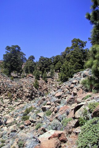 Paisaje Lunar - Tenerife