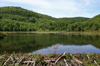 Parc National de la Mauricie - Québec Canada 2007