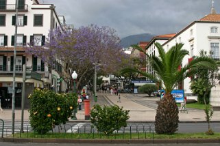2008 Funchal