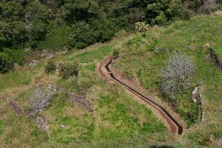 Levada Madère 2008