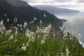 Ponta Delgada Madère 2008