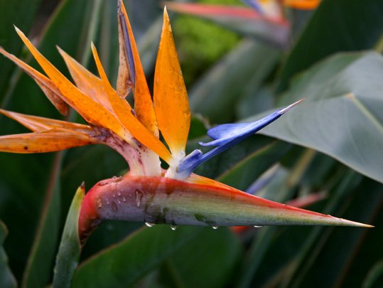 Madeira Portugal