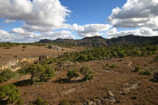 Parc National d'Isalo Madagascar 2008