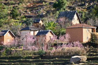 Village typique - Manandona Madagascar 2008