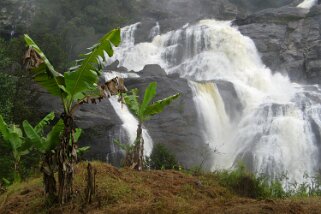 Cascade de Ronomafana - Ronomafana Cascade de Ranomafana - Ranomafana