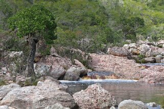 Parc National de la Chapada Diamantina Brésil 2009