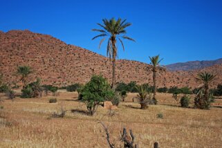 Tafraoute Maroc 2009